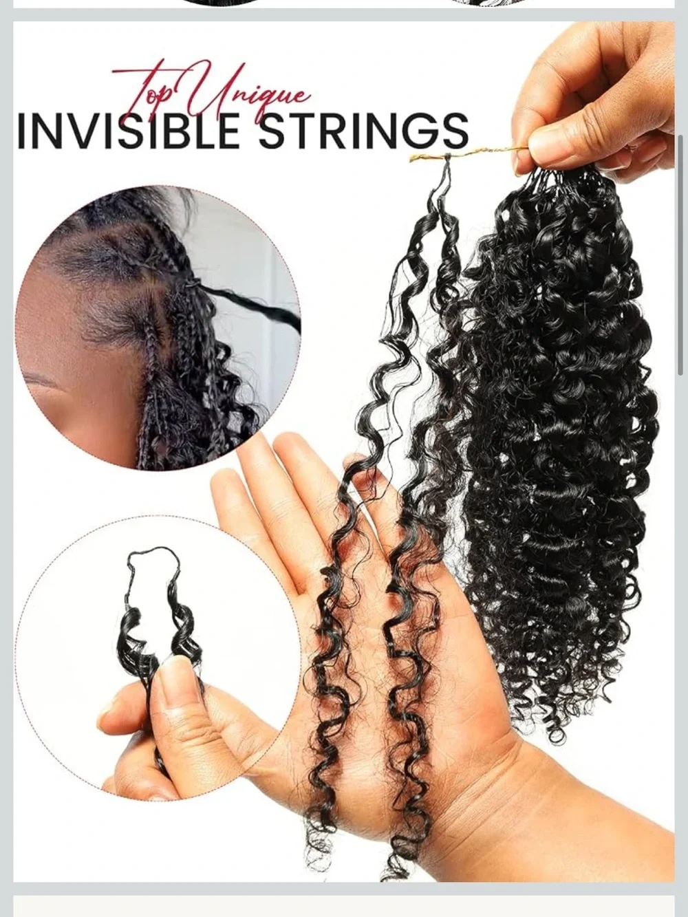 N/A burmese curly